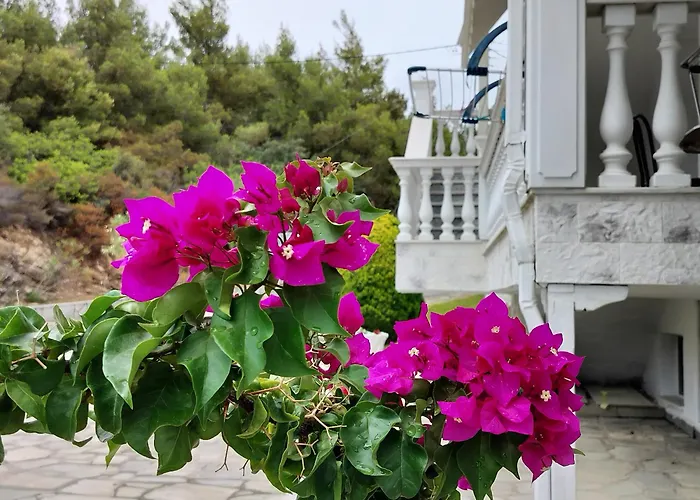 Althea Three - Sithonia Chalkidiki 250m From The