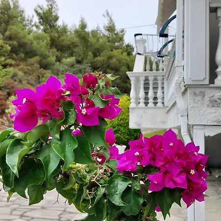 Althea Three - Sithonia Chalkidiki 250m From The